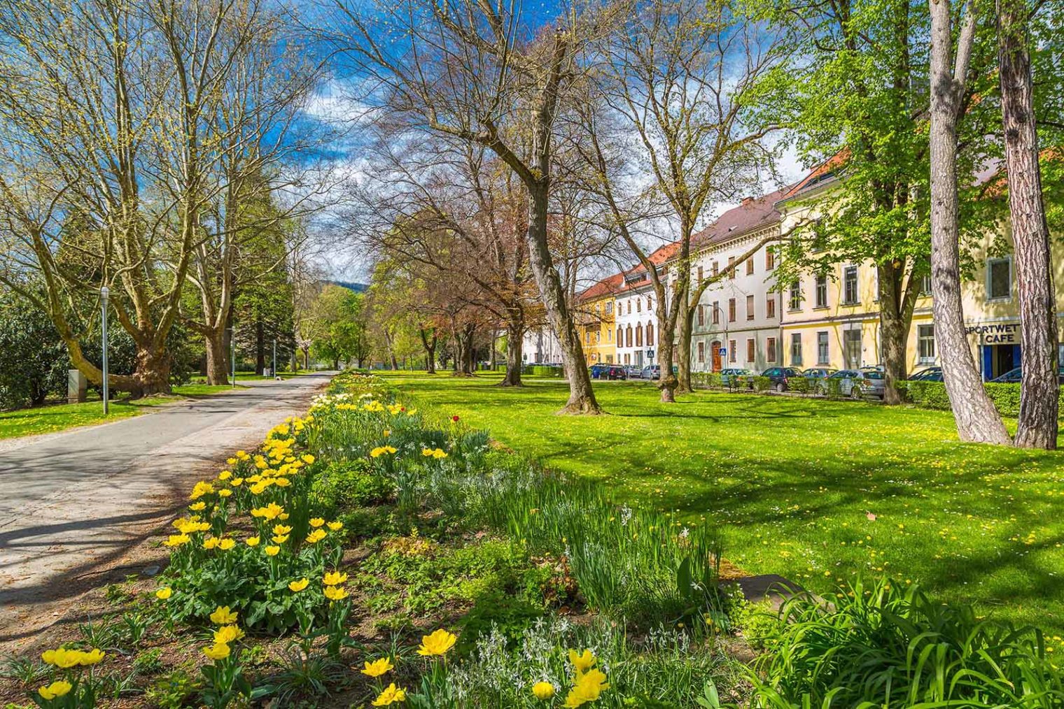 Glacis Park Leoben